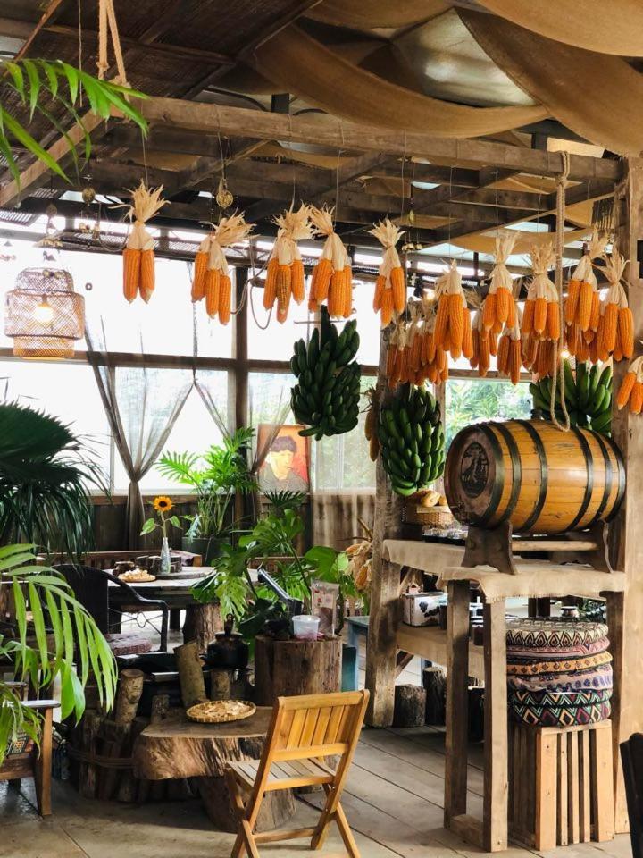 Xuan Truong Nhien Farm Homestay מראה חיצוני תמונה