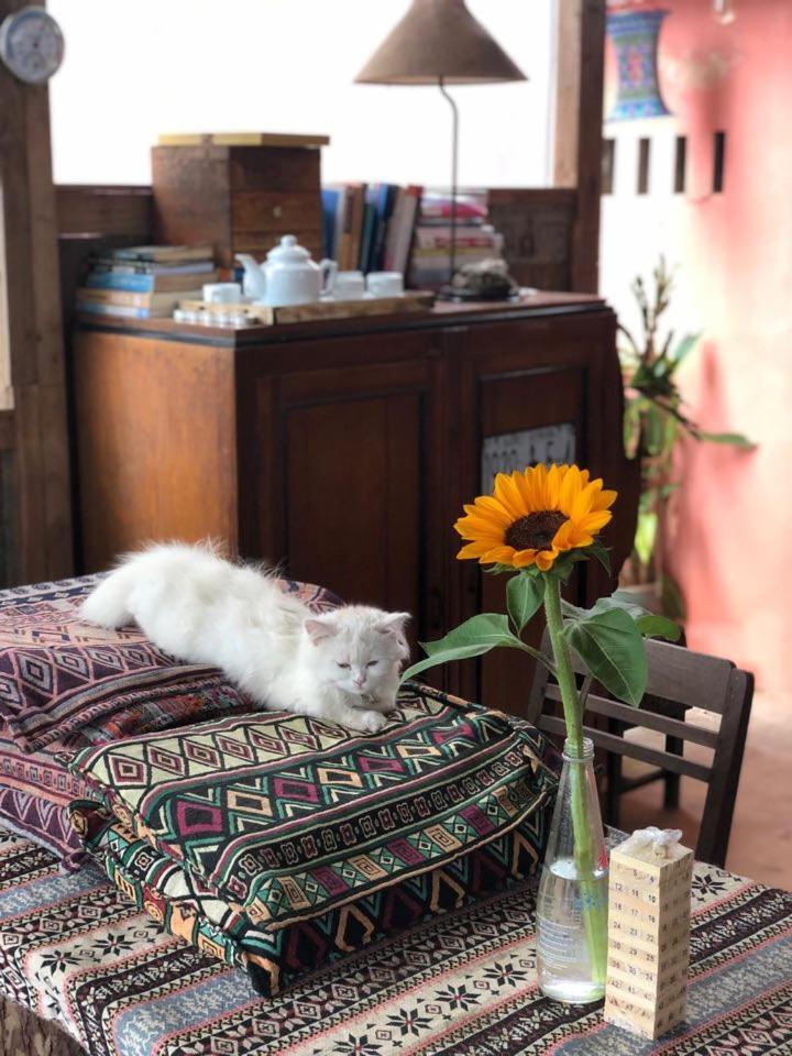 Xuan Truong Nhien Farm Homestay מראה חיצוני תמונה
